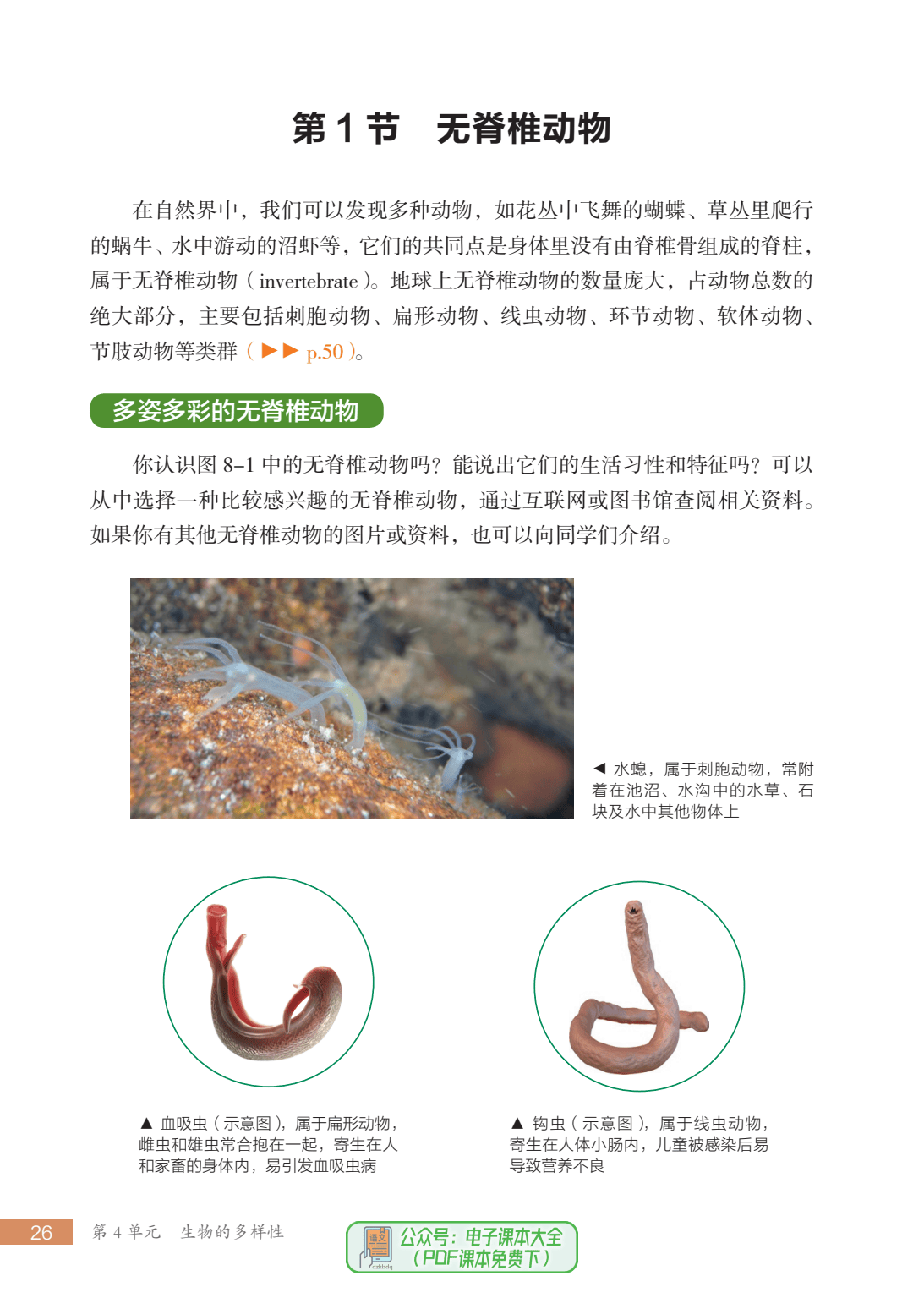 苏州七年级生物(苏州七年级生物什么版本)  第2张