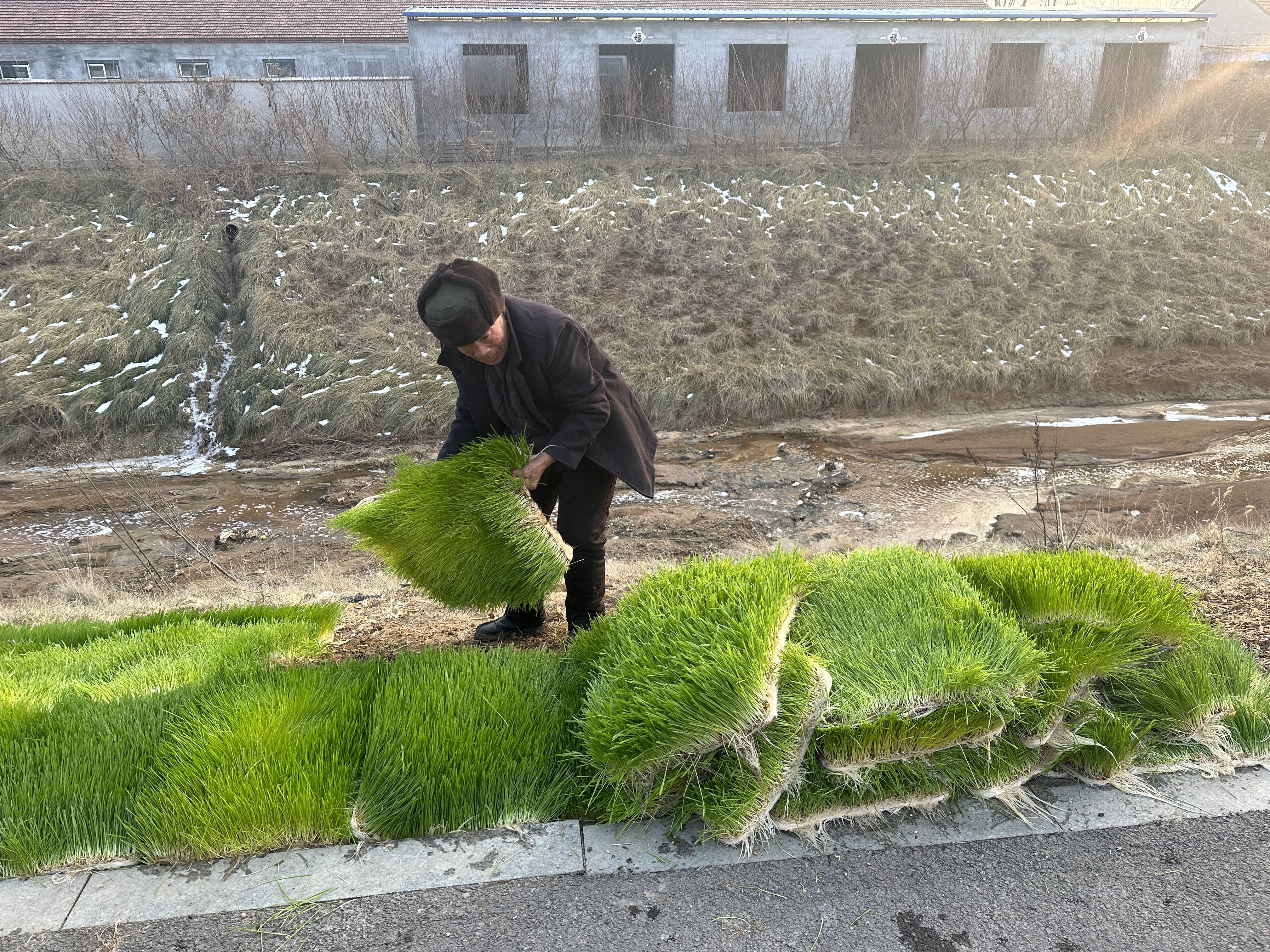 关于畜牧和林草的信息 关于畜牧和林草的信息（关于畜牧和林草的信息简报） 畜牧