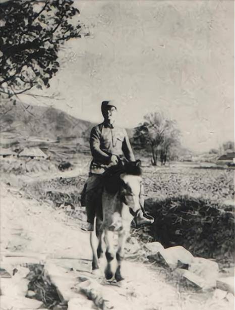 35岁新四军巨头,交完党费后举枪自尽,唯一的儿子后成国家栋梁