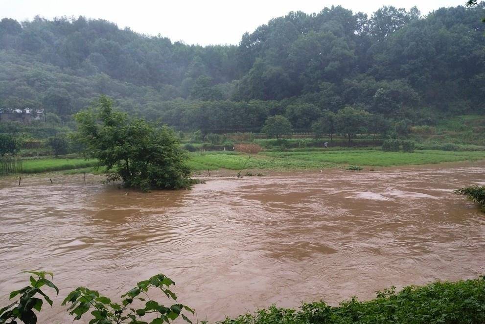 1983年洪水"蛇灾"怎么回事?