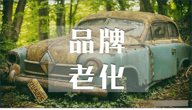图片[4]-传统企业转型：品牌建设的破局之道-中小企实战运营与营销工作室