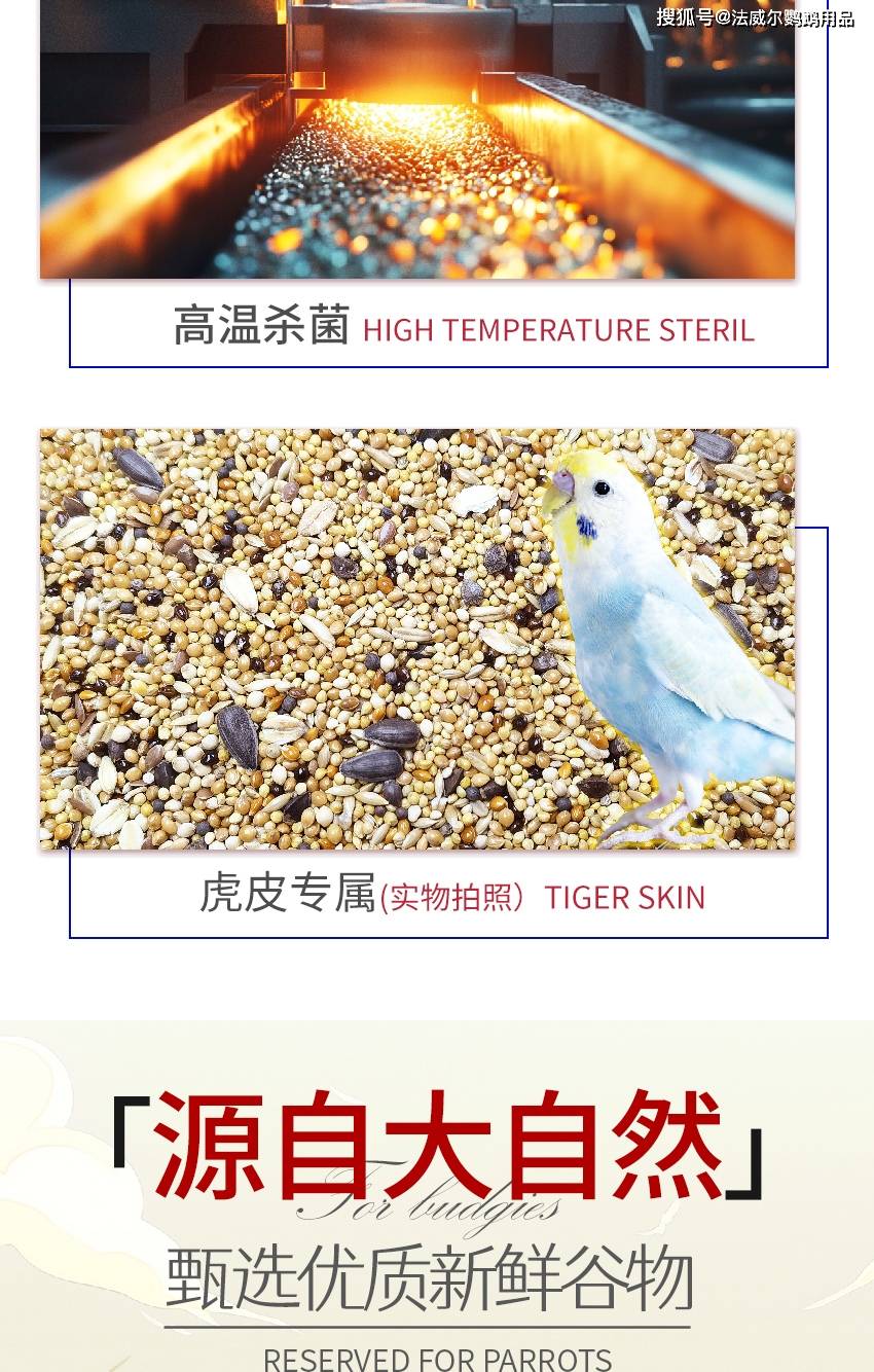 虎皮鹦鹉营养专粮（虎皮鹦鹉的寿命有多长）