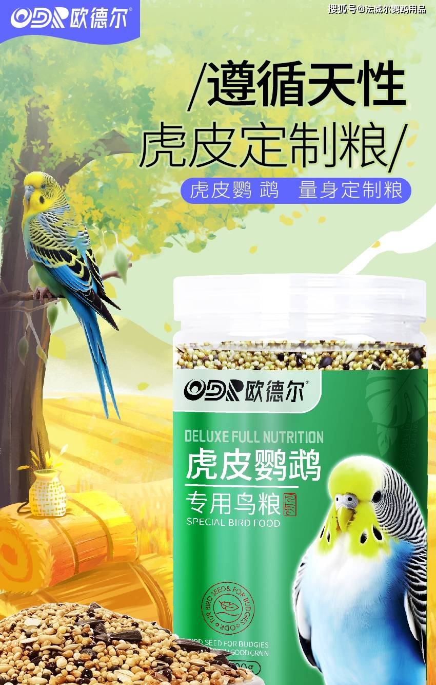 虎皮鹦鹉营养专粮（虎皮鹦鹉的寿命有多长）