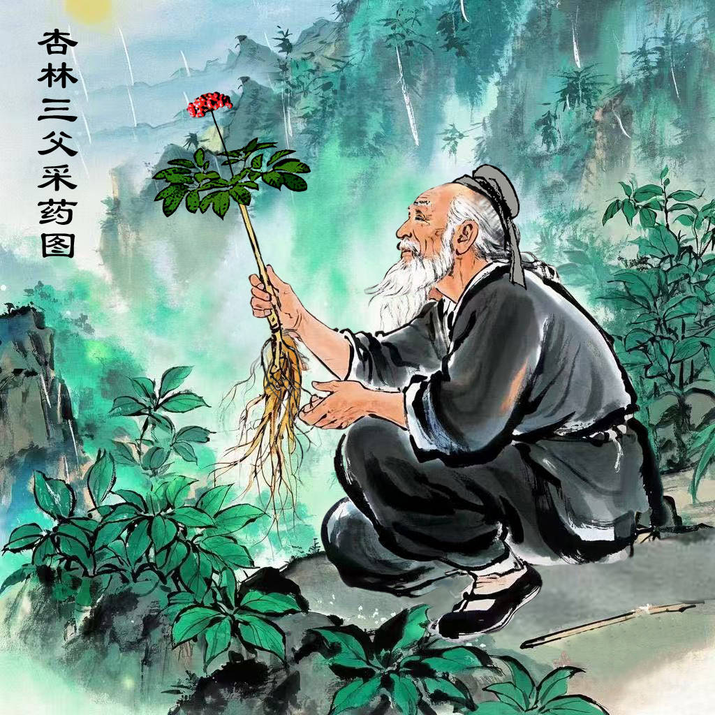 杏林三父李言闻:明代医药世家的传奇奠基人
