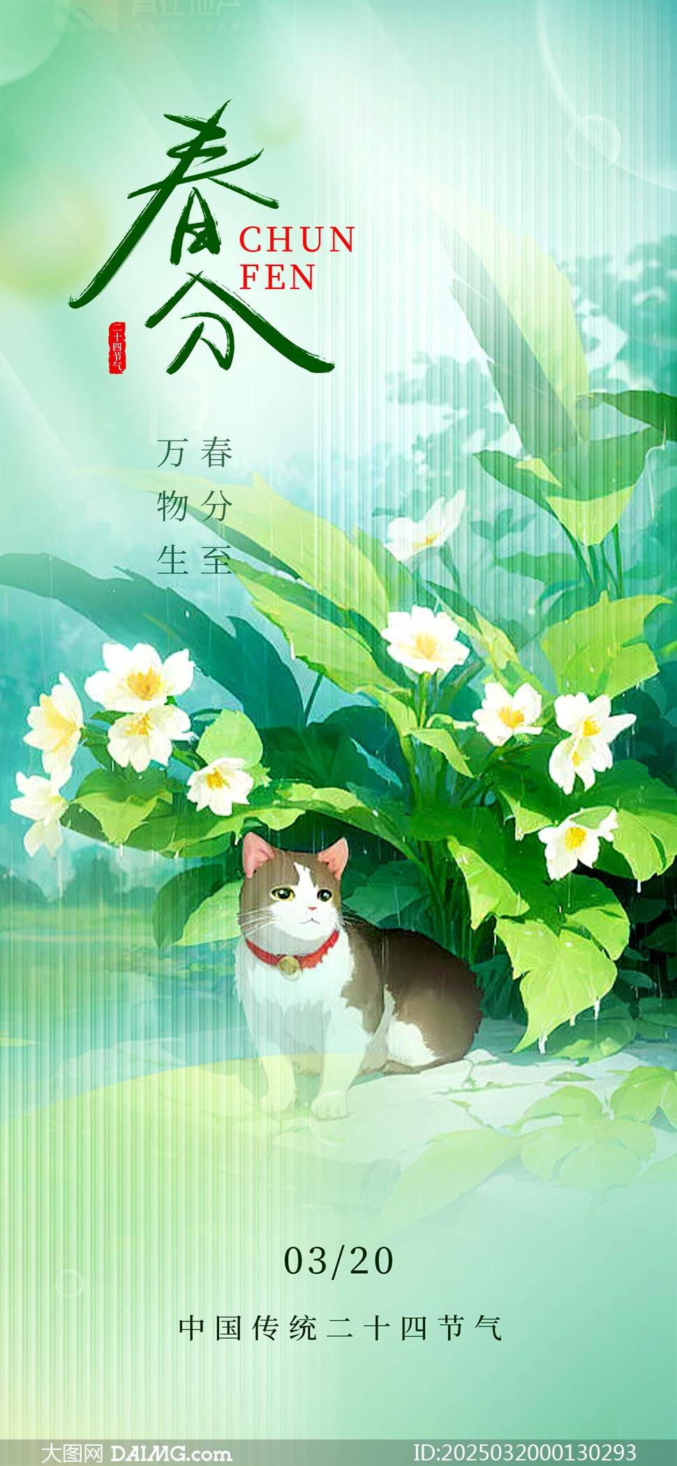 今日春分春分节气宣传海报