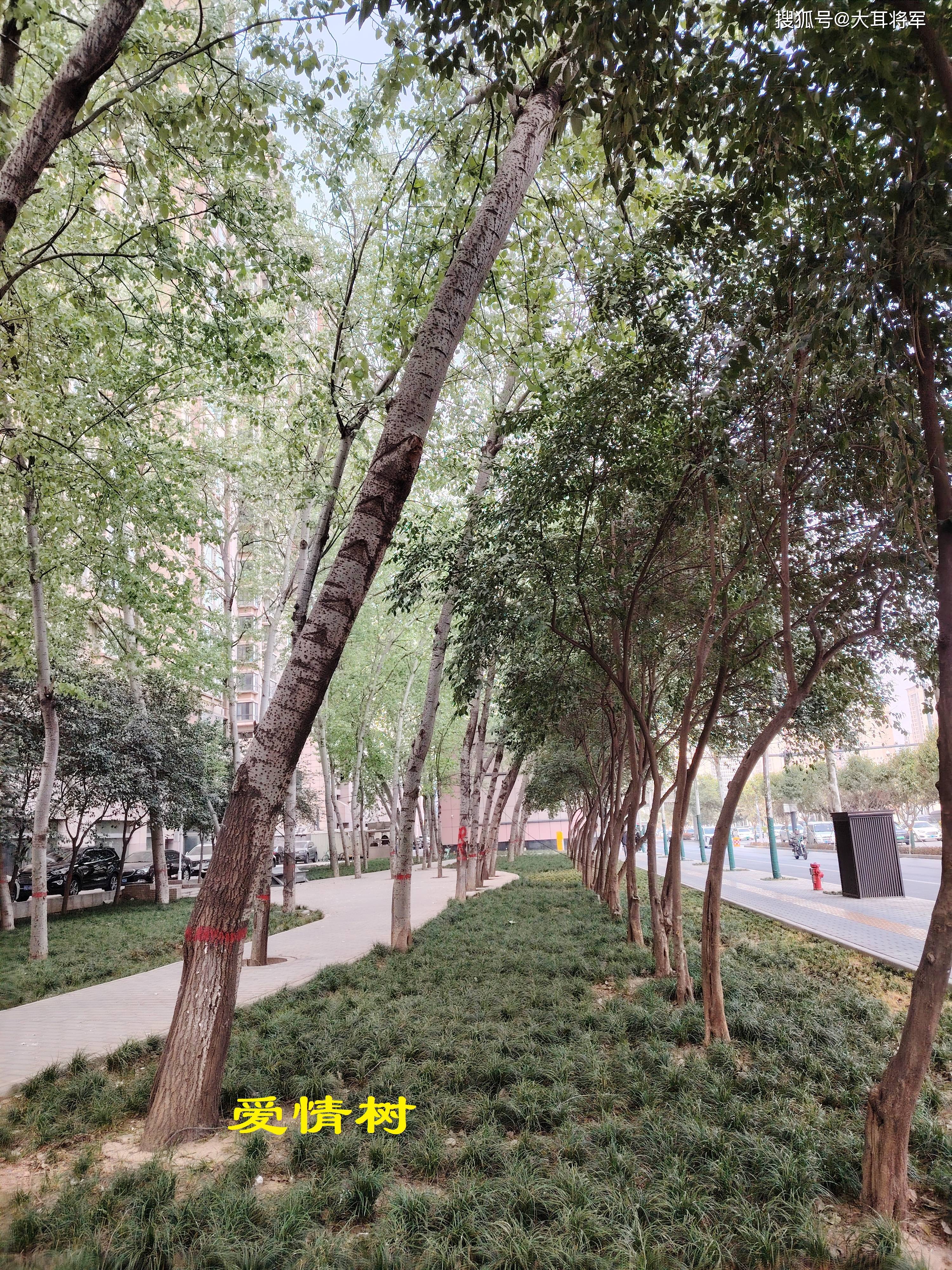 骑一圈二环看城市变化