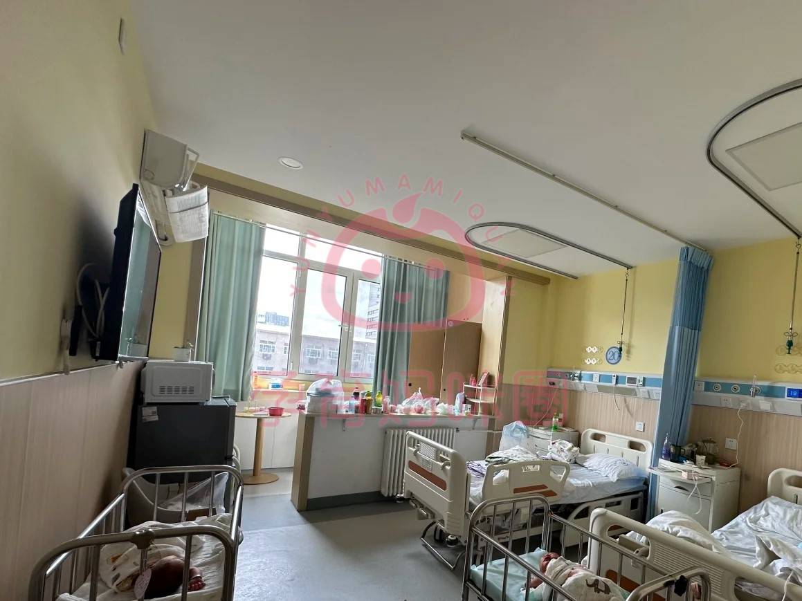 包含原306医院全程代诊含挂号院内杂事全程包办，不用自己费心的词条