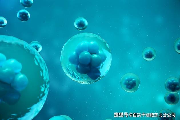 北京干细胞注射多少钱一只？百龄干细胞（北京做干细胞）