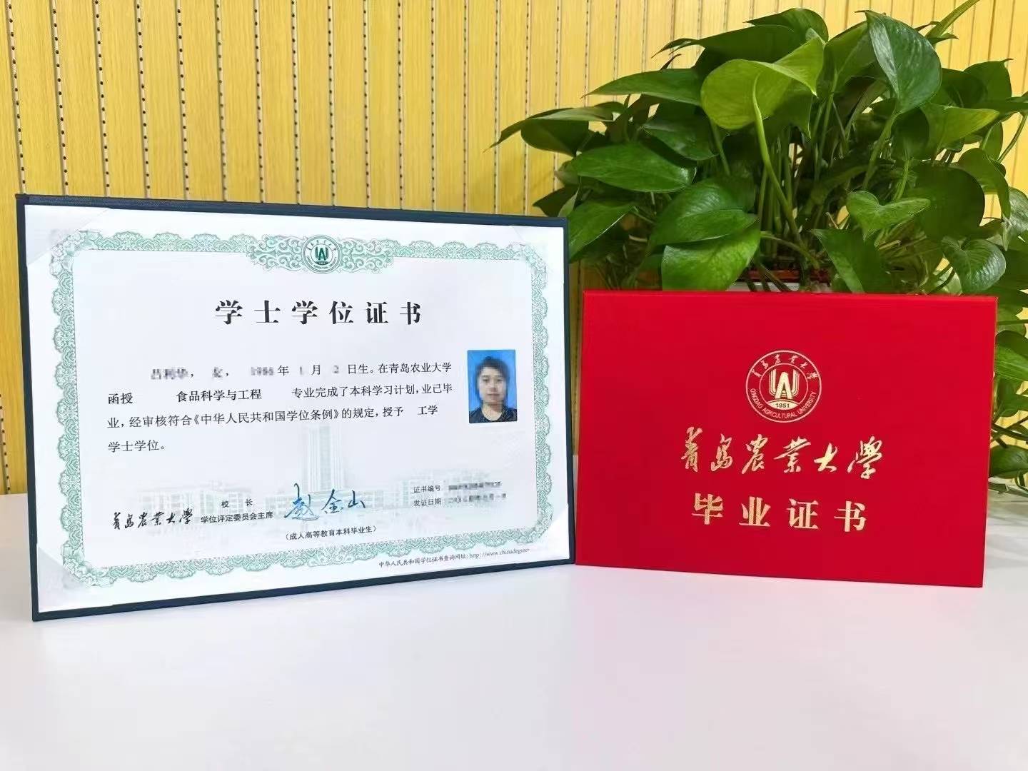 函授需要刷网课不吗高中(函授用不用上课)