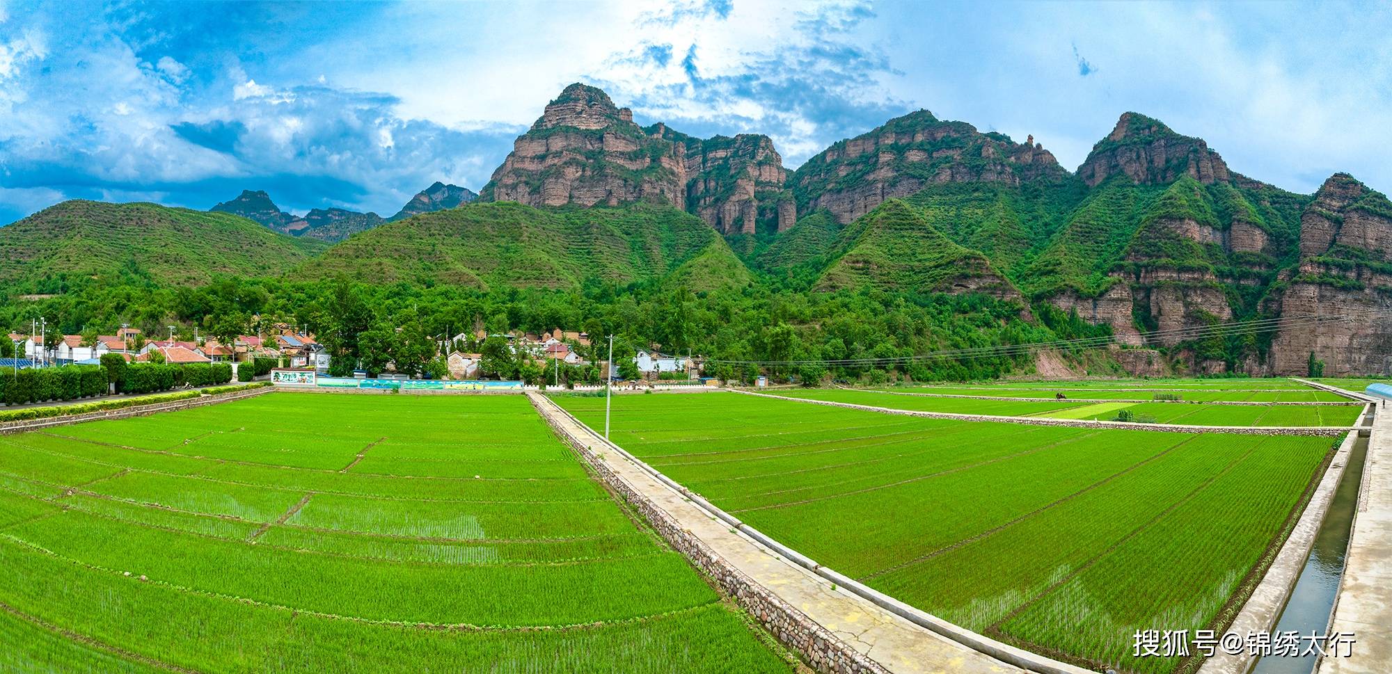 甘肃适合种植什么经济作物