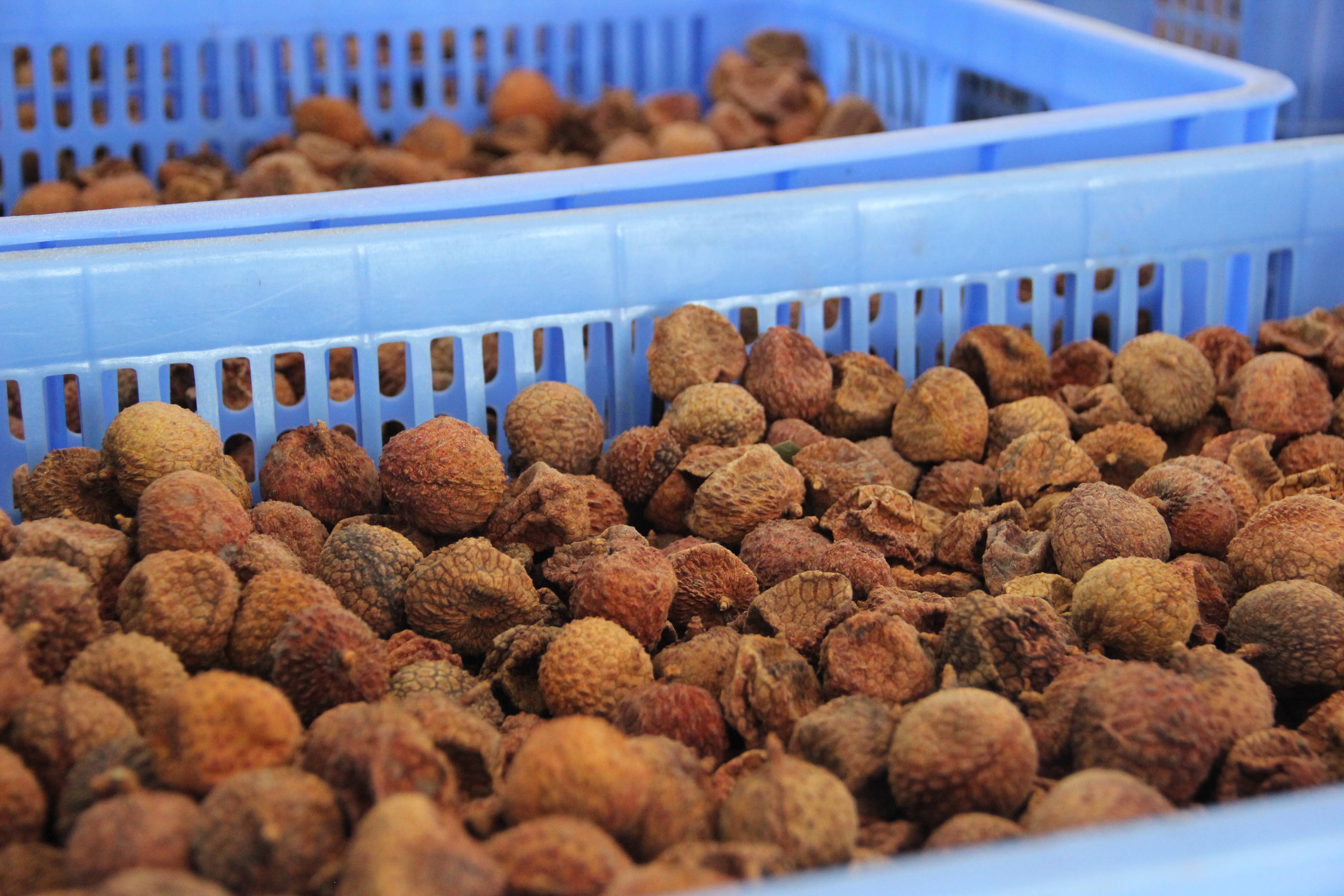 古法新创"荔"久弥香,非遗技艺锁住荔枝"甜香"