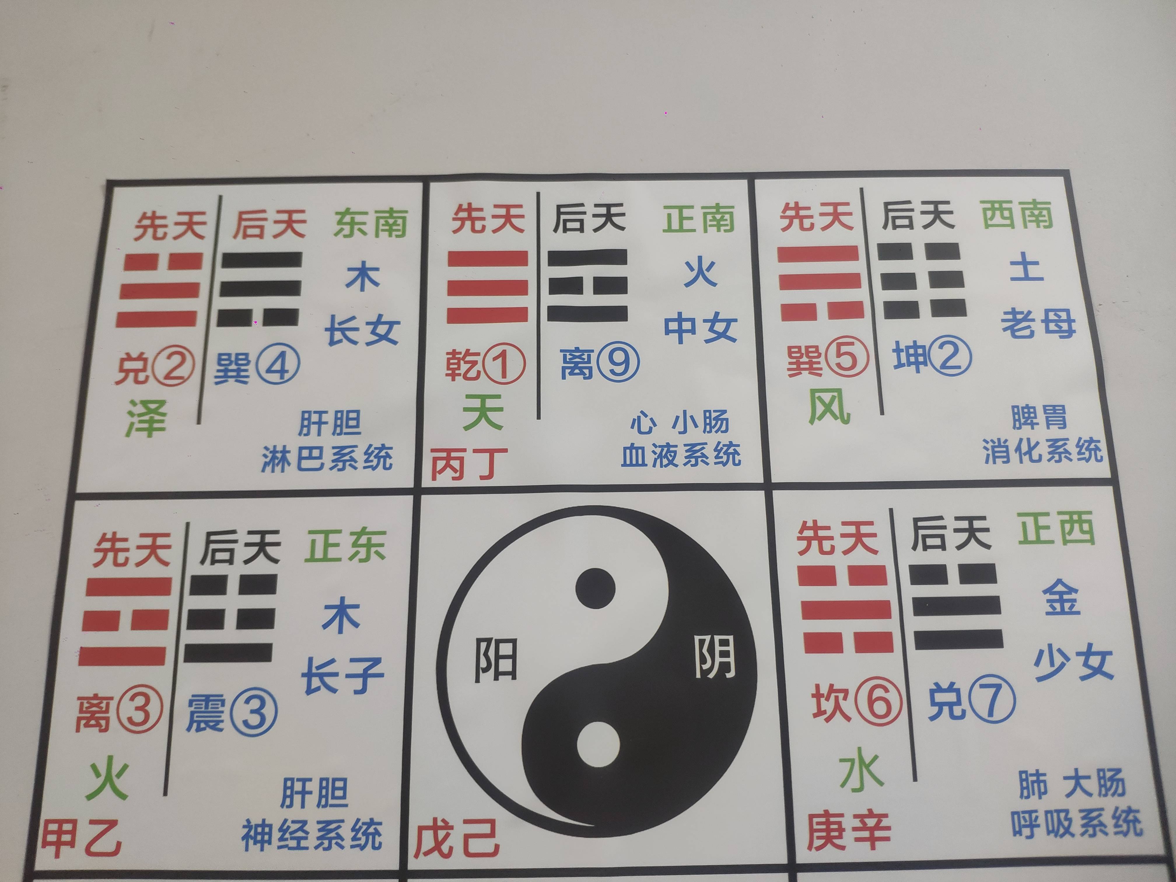 太极八卦阴阳养生图:五行,方位与人体系统的融合智慧