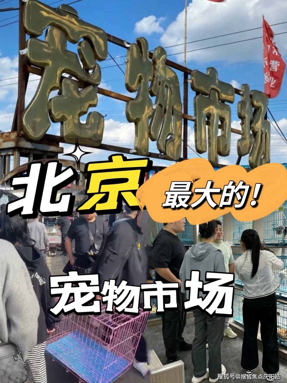 关于大学第一医院贩子联系方式《提前预约很靠谱》的信息