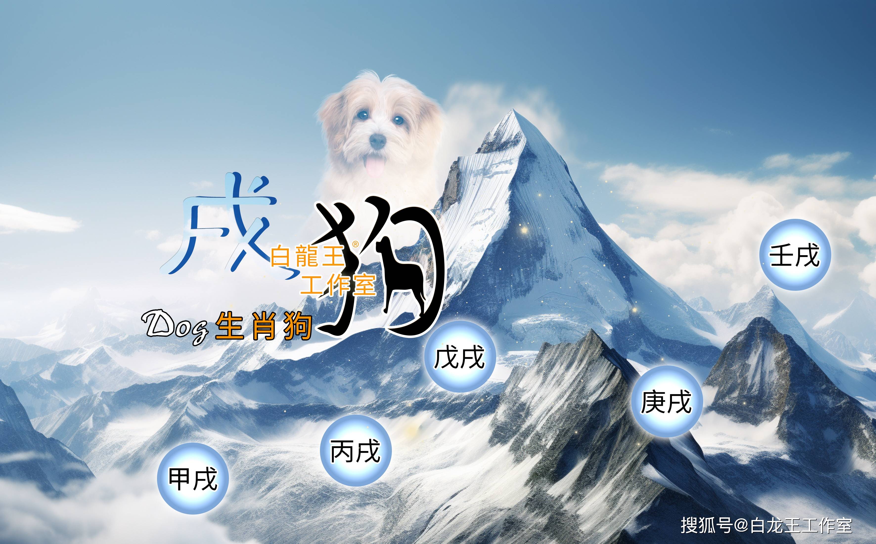 2023年82生肖狗运势(82年狗在2023年的财运)