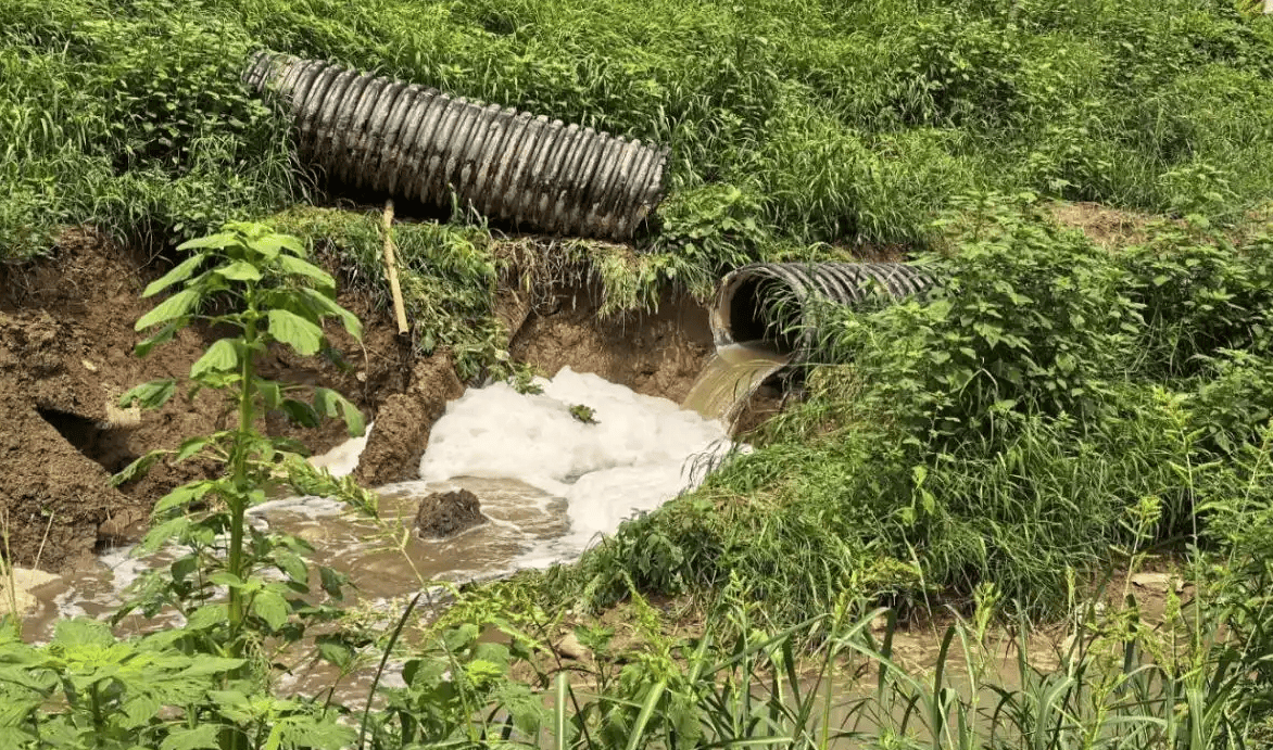 中央生态环保督察通报河北廊坊辛集等地农村污染治理差距明显