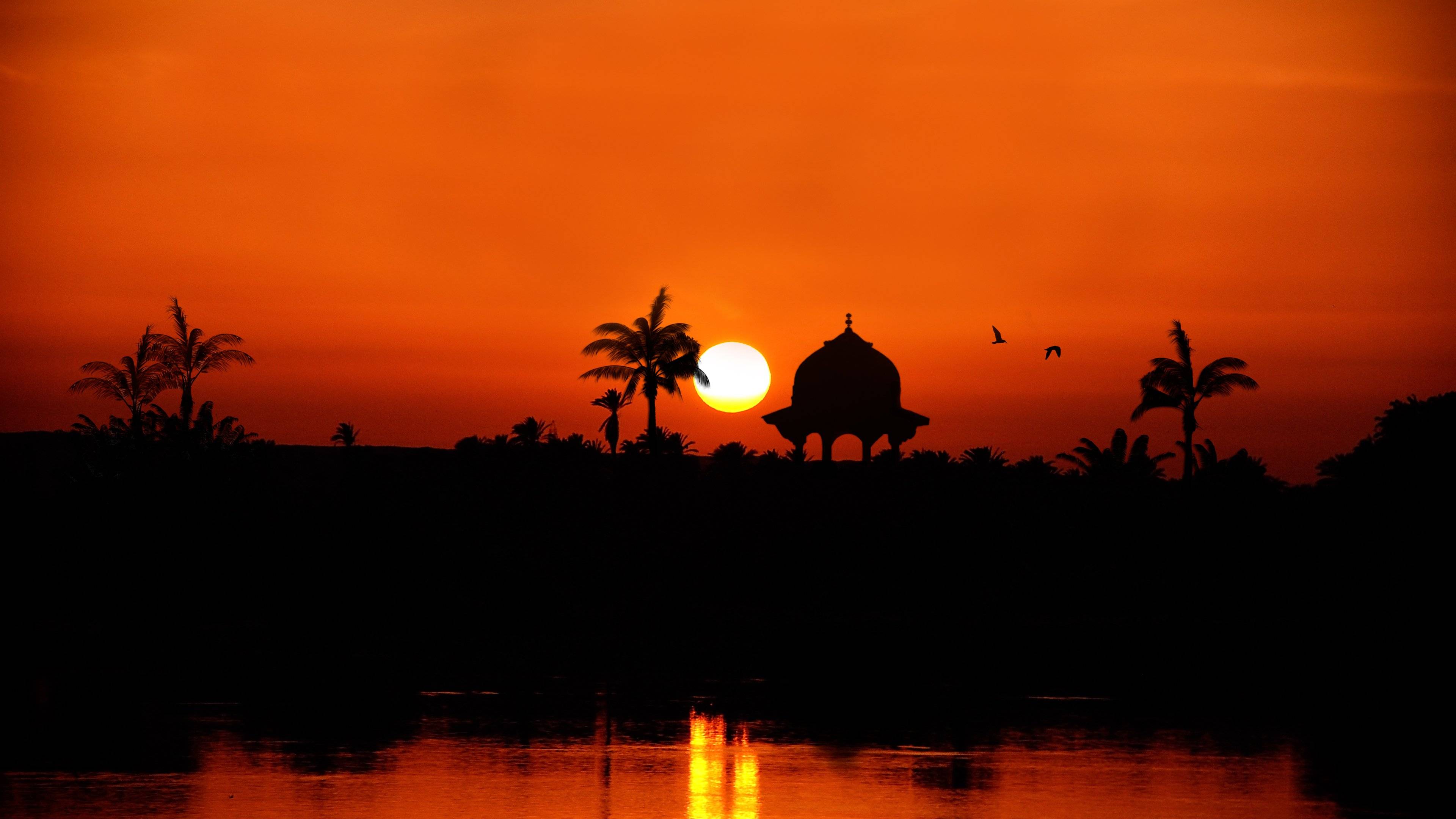 3月7日属龙生肖运势(3月7日属什么生肖)