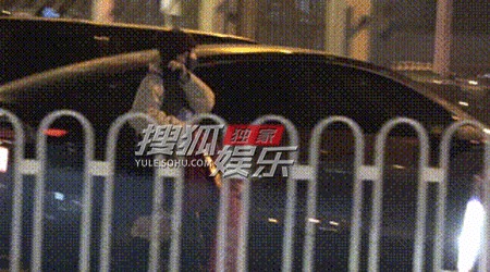 姚晨前往餐厅会友 手提礼物超暖心松弛感拉满