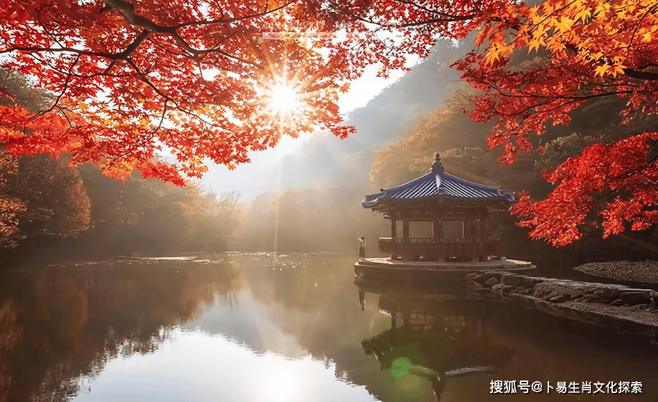 微信图片_20260207193807_18_57.png