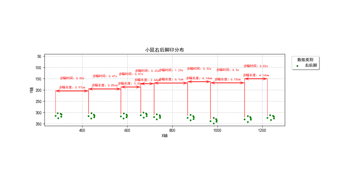 1 步态黑鼠6.png