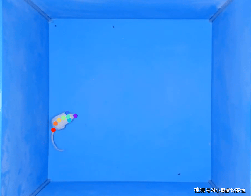 大小鼠矿场1.png