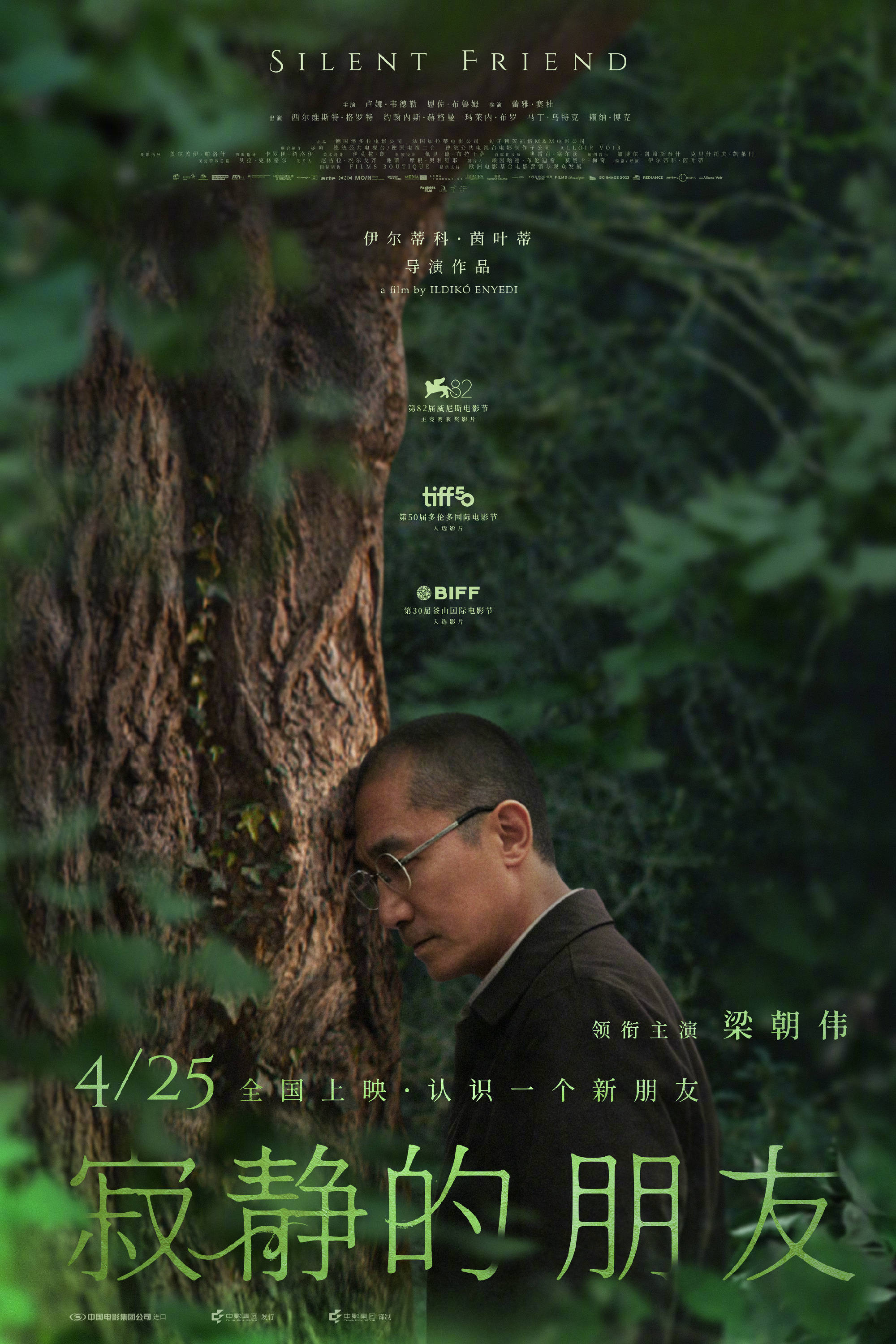 梁朝伟主演新片《寂静的朋友》内地定档4月25日上映 聚焦百年人与一棵大树的故事