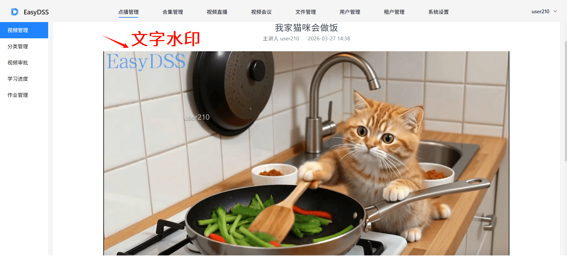 点播水印.png