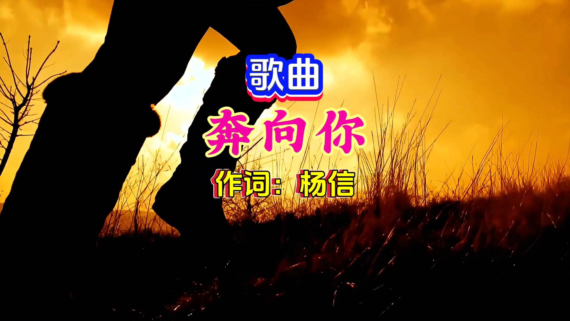 歌曲｜奔向你