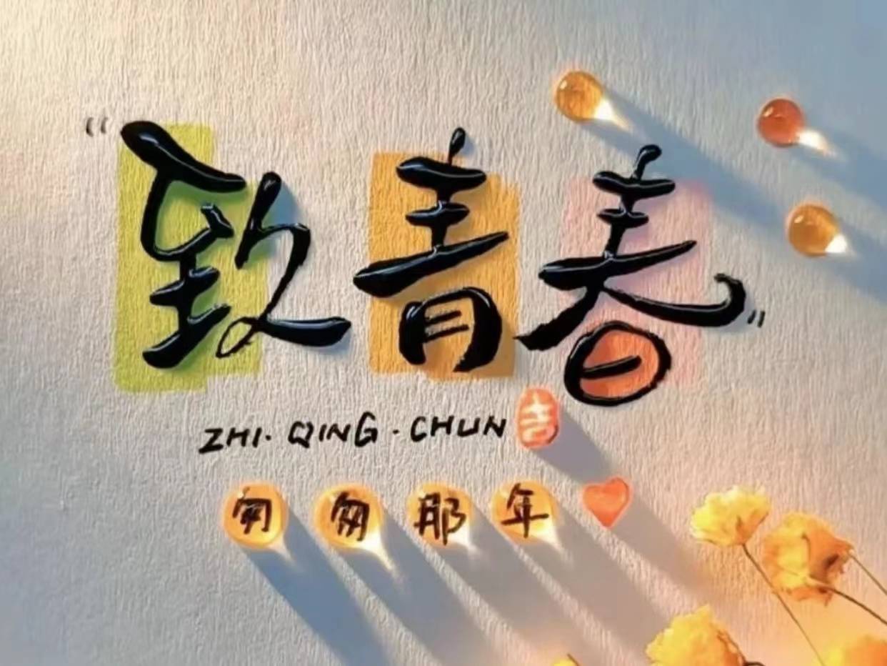微信图片_20260427171238_3442_6.jpg