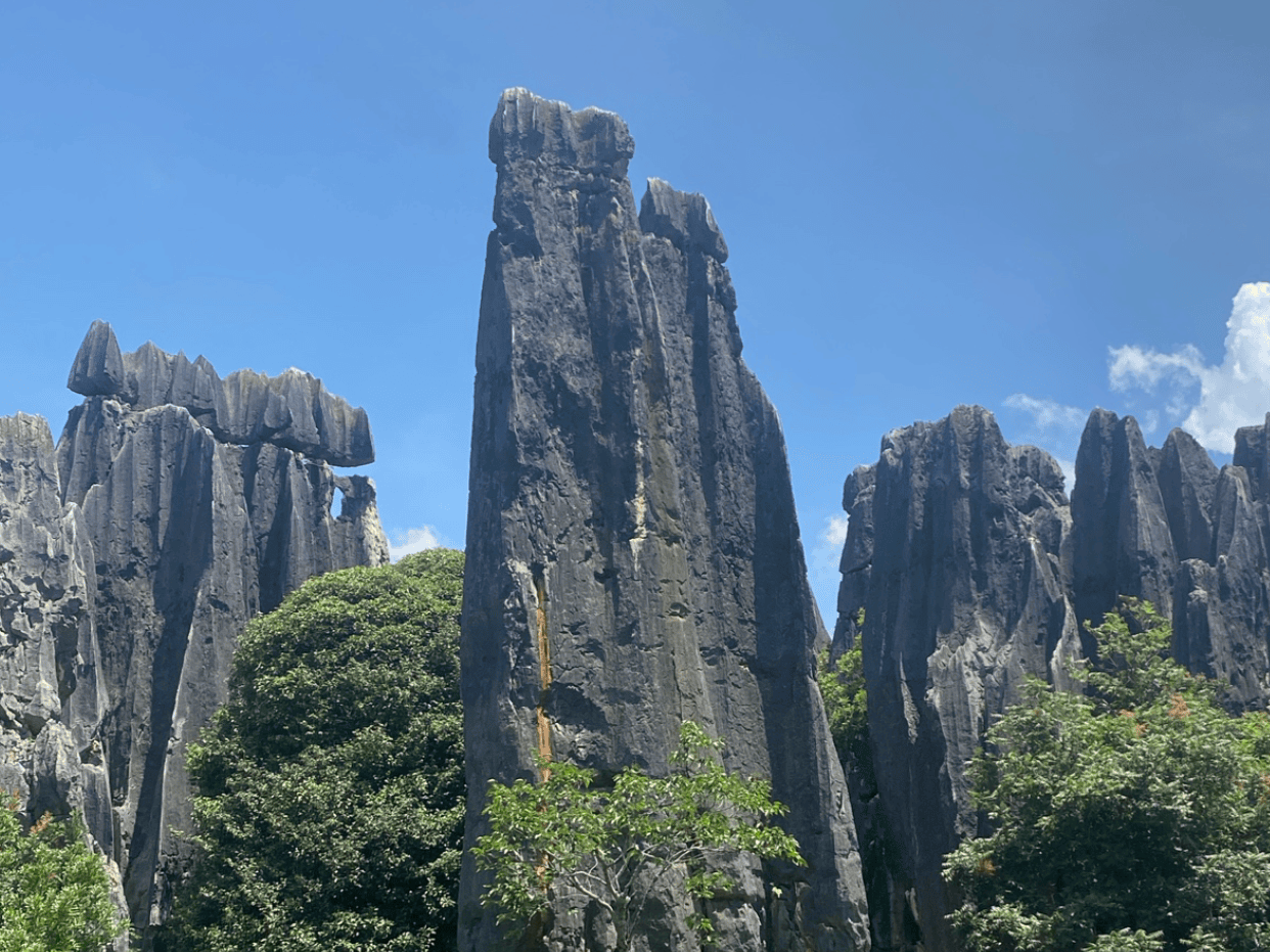 微信图片_20260514201543_91_1450.png
