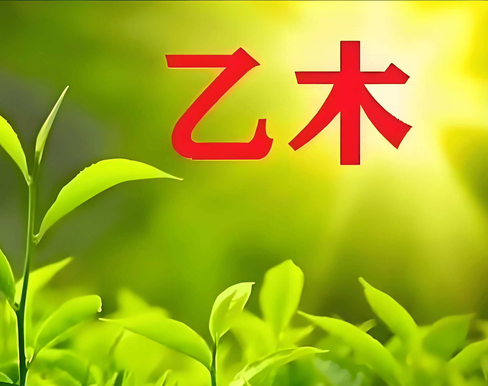 文章配图-1