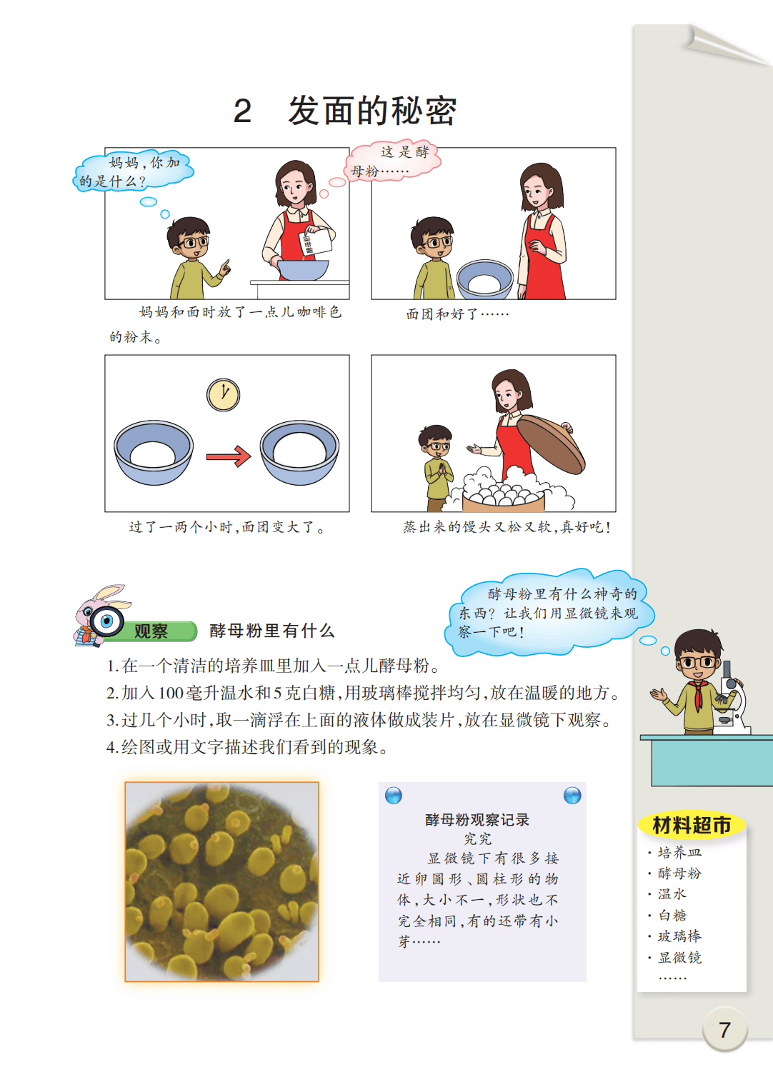 最新【大象版】6年级科学课本•上册_13.png