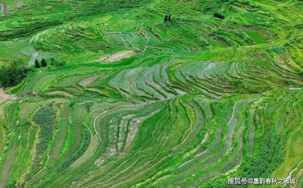 微信图片_20260625191250_10_4.jpg