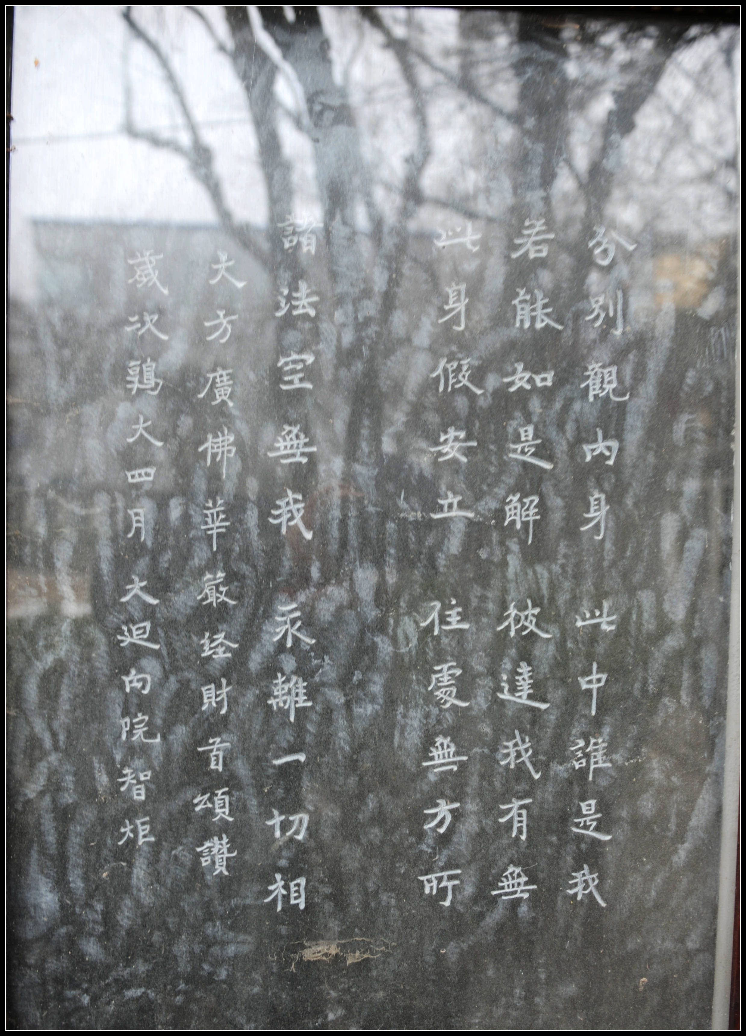 SL0_5009.JPG