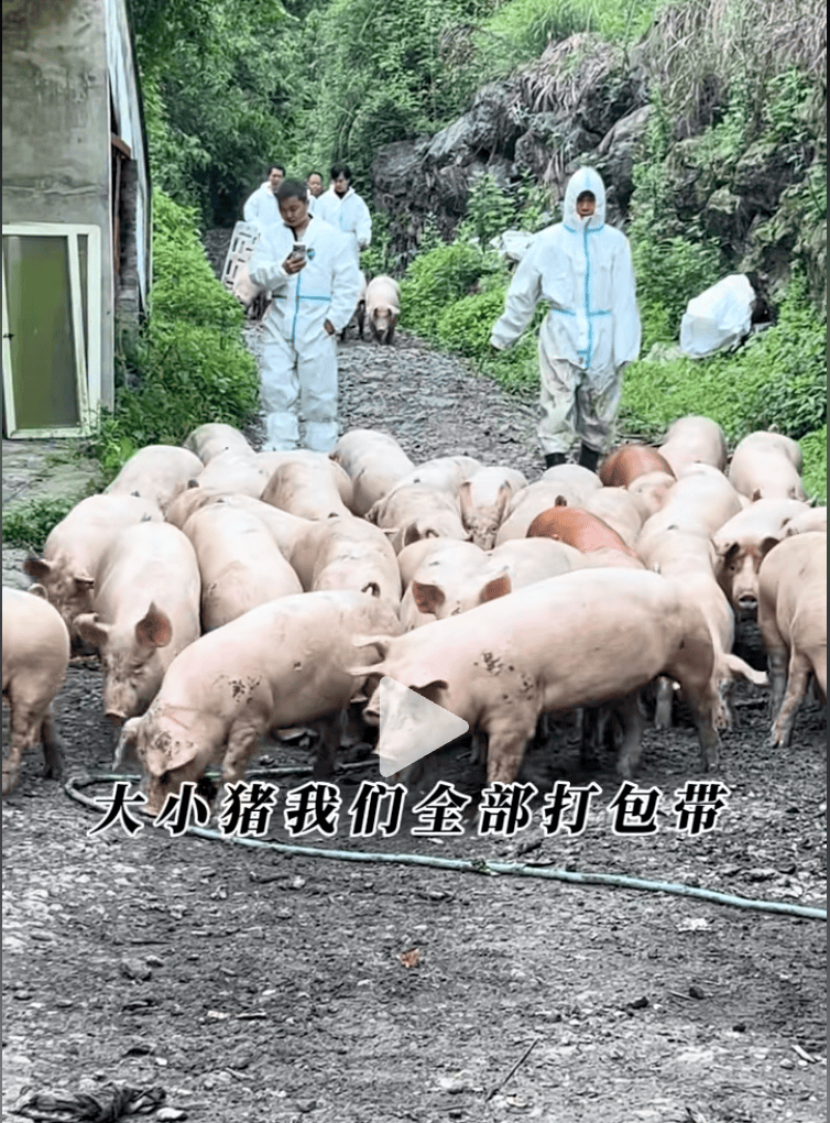 微信图片_2026-08-31_185614_613.png
