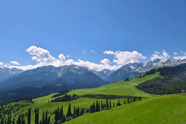 4 (11)_resized.jpg