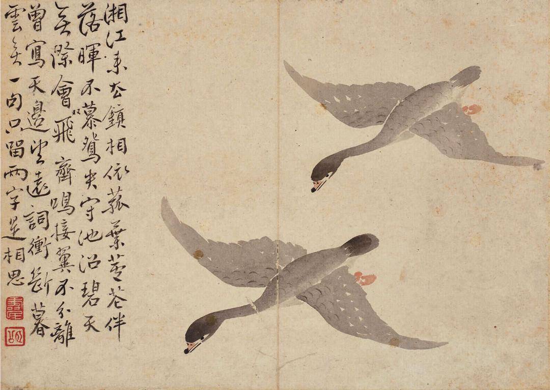 邊壽民- 維基百科，自由的百科全書