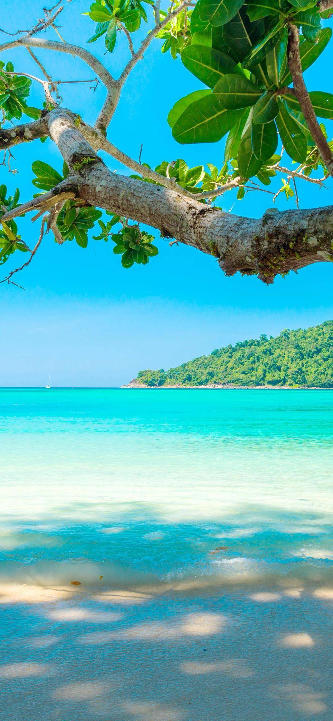 壁纸 | 30张高质量iphone壁纸