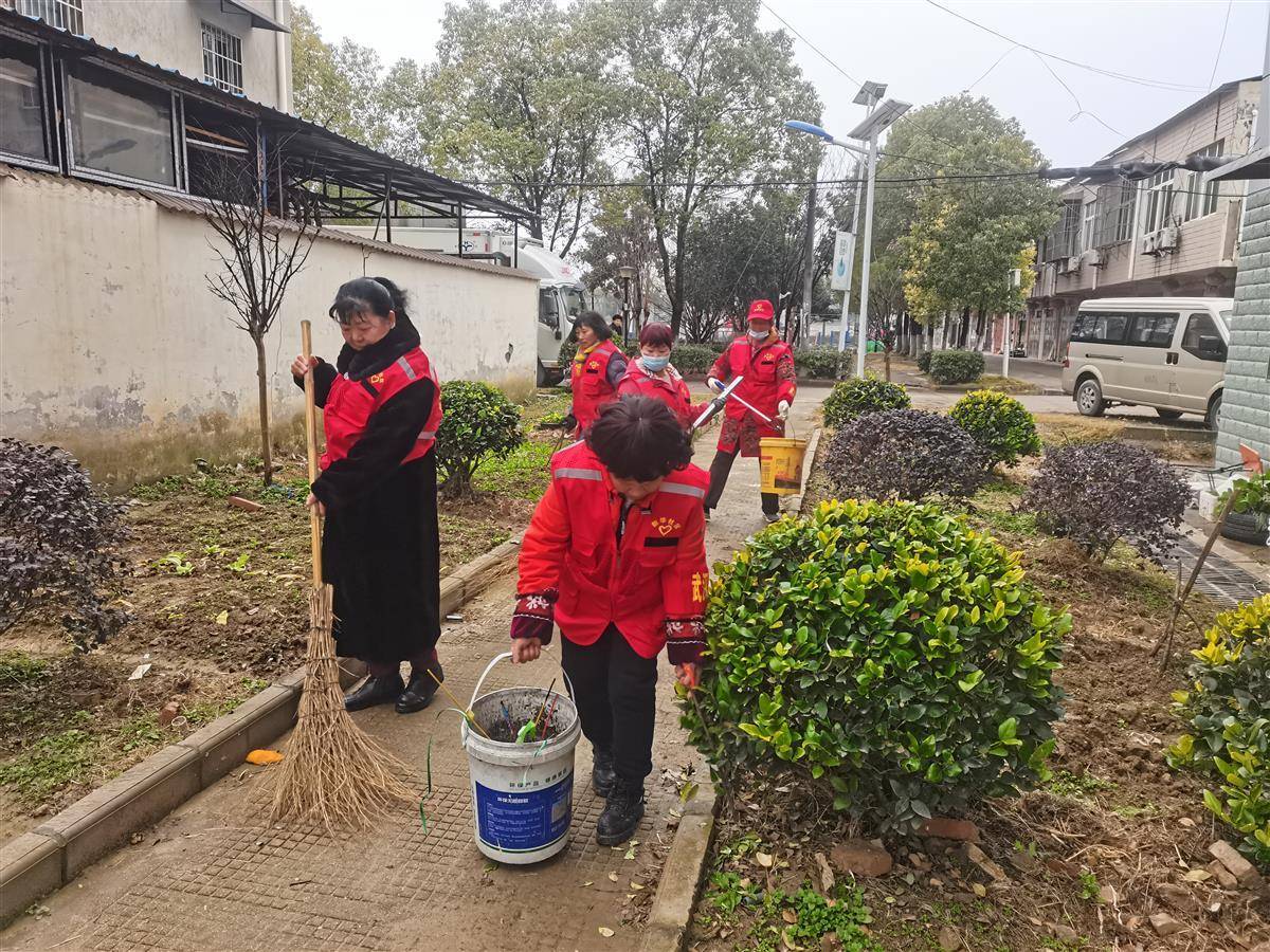 提升村湾颜值,东西湖走马岭街道开展村庄清洁日行动