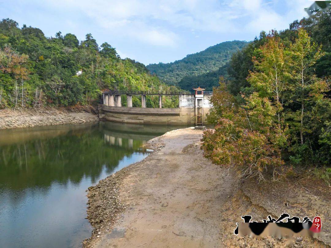 山城印象 | 雨林深處_楓葉_元門鄉_紅坎