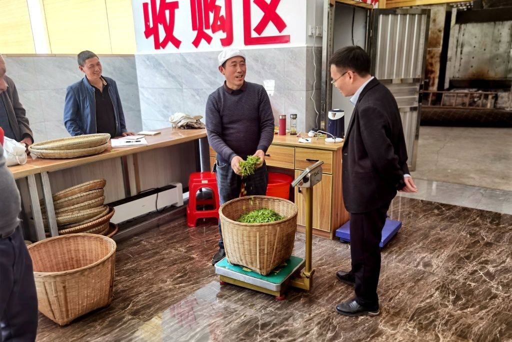 恩施鹤峰：“舍得书记”建清廉村居（湖北恩施鹤峰旅游）