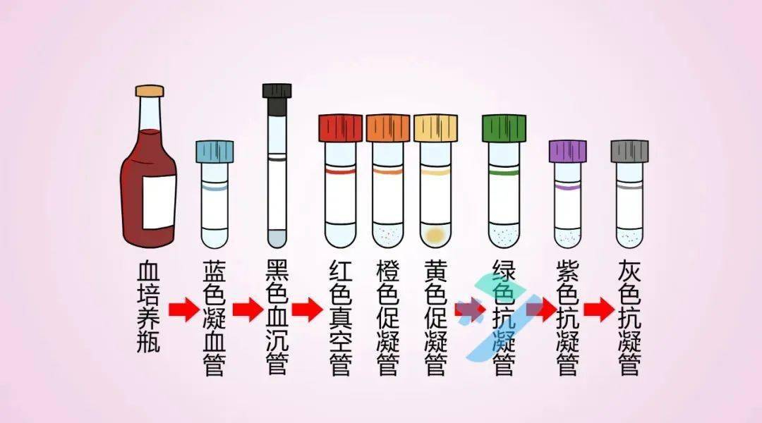 静脉采血顺序和注意事项,你知道多少?_检测_ml_血液