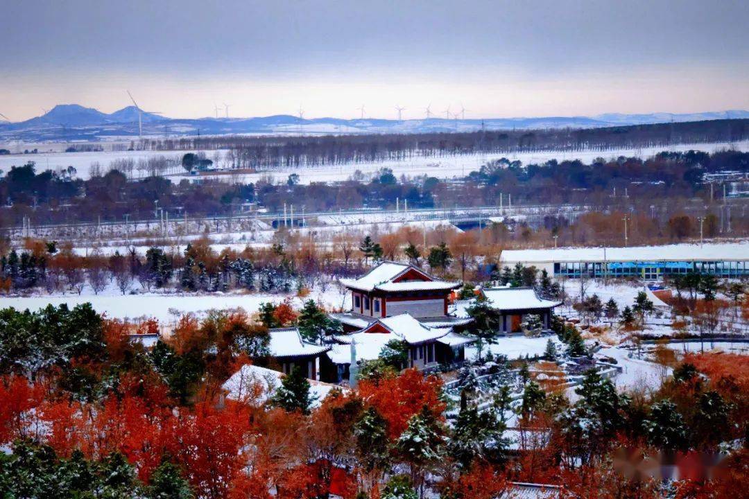 阜新雪景图片