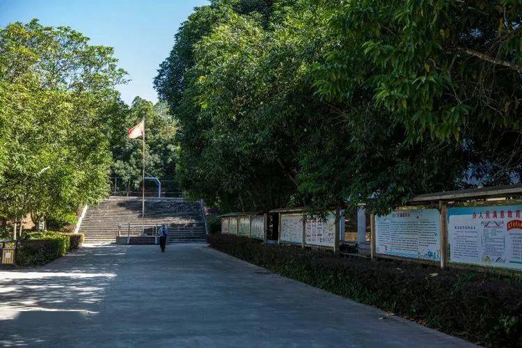 学校生物园备注:以上文字来源于普宁市大坪中学参加"2023年普宁市中