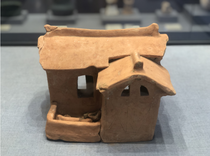 安顺市博物馆"诞生记"_文物_市民_历史