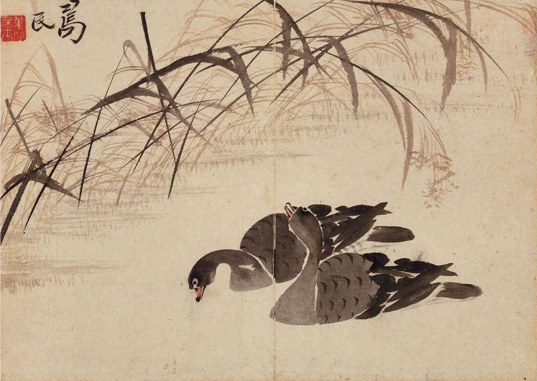 边寿民芦雁图册:浅水平沙落雁群,萧萧芦荻已斜曛_居士_中国_诗词