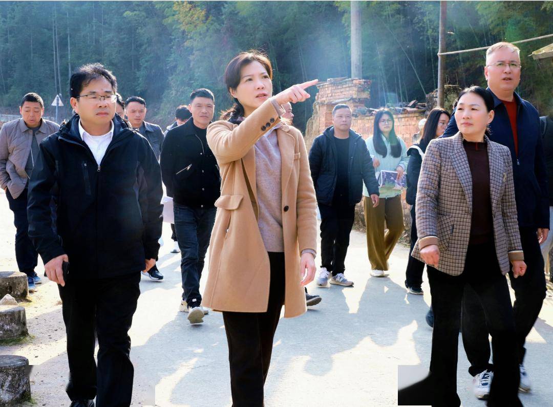 郭绯红一行先后来到和平镇进贤村,危冲村等地,查看