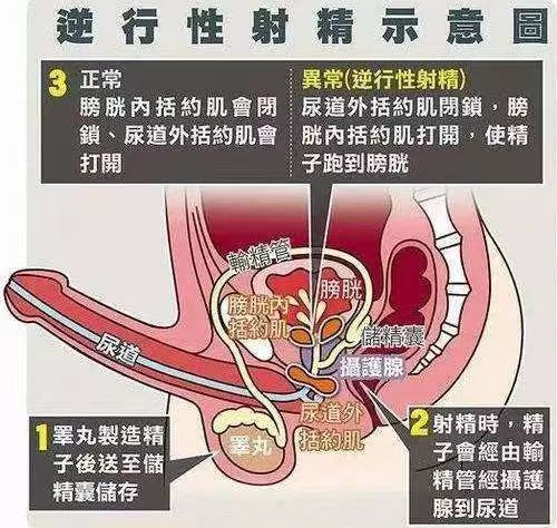 第一次啪啪图片