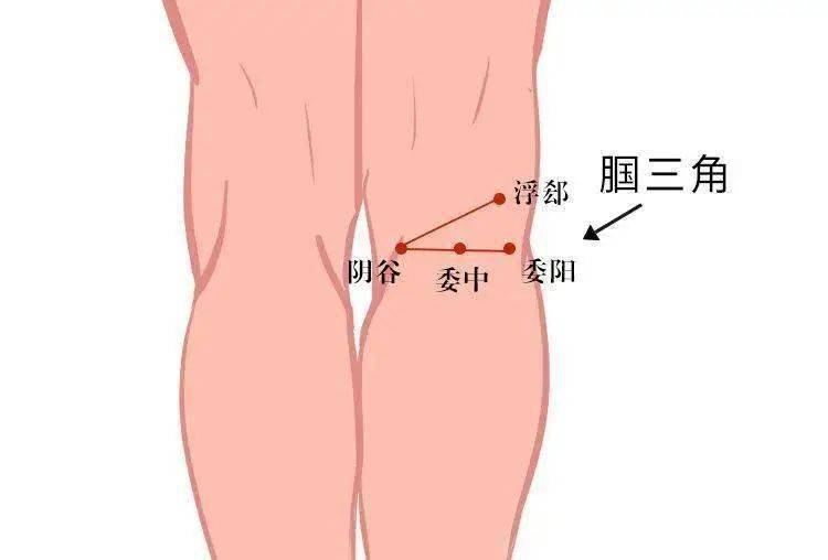 阴谷曲泉位置图片