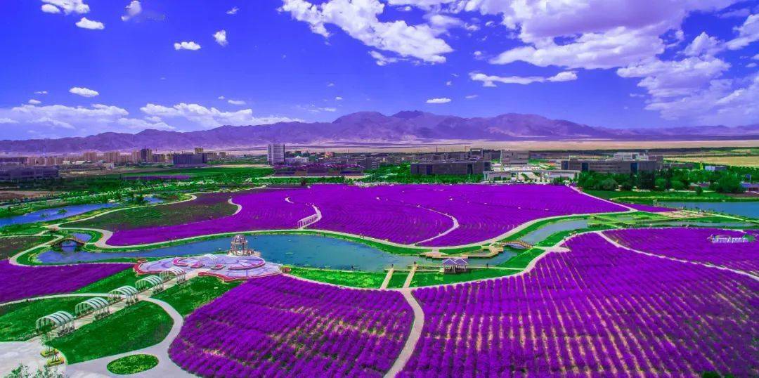 2024甘肃文旅第一缕阳光——金昌篇_金川_中国_工业