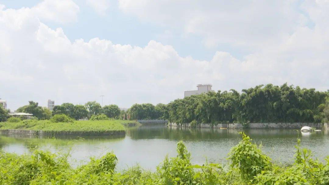 【新时代文明创建·文明村镇】潮南区司马浦镇仙港村:以特色产业为